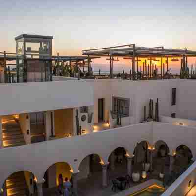 Hotel Amatte San Miguel de Allende Hotel Exterior