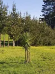 Nestled Pukekohe side of the hills of Bombay with a large private pool
