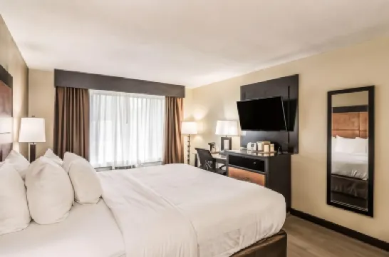 Quality Inn Hotels near Sam's Fun City