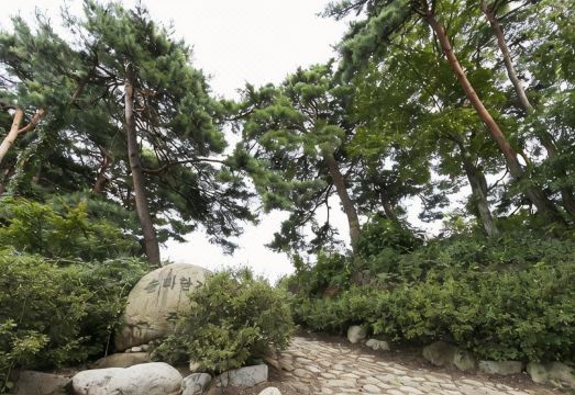 무주 솔다박체험 펜션