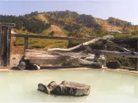 Manza Onsen Nisshinkan - Varme kilder