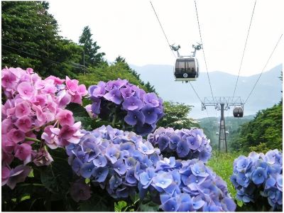 ホテル周辺 ホテル花月園の写真