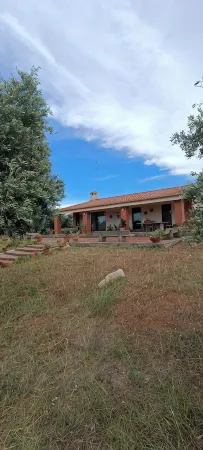 Beautiful villa nestled in a thousand-year-old olive grove 5 minutes from the sea