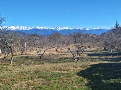 노움의 집  호텔