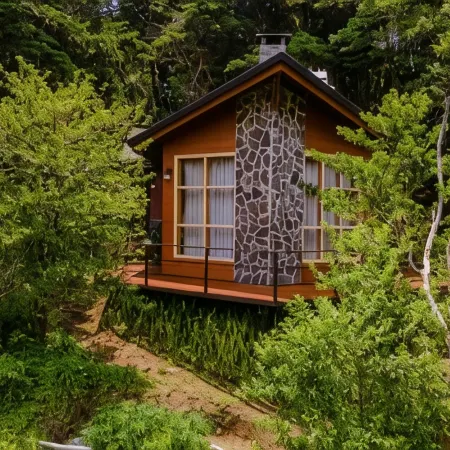 Los Pinos Cabins & Reserve