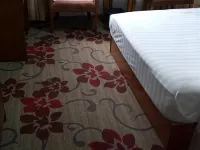 Dingnan Bada Hotel