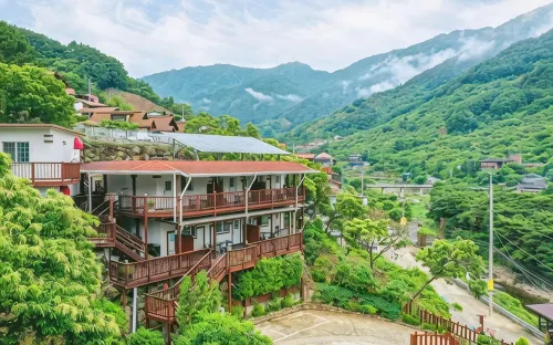 Gurye Dandelion Travel Pension