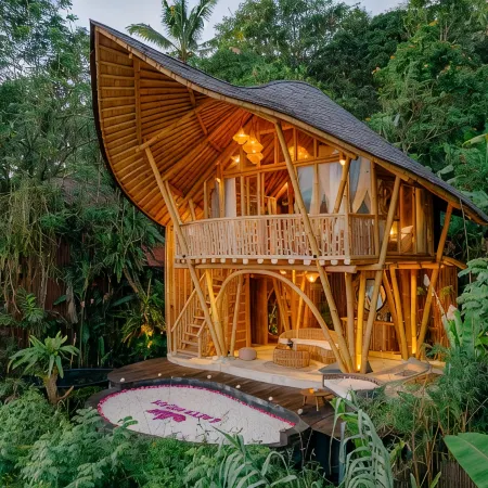 Jiva Bali - Green Dream