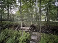 Charming 3-bedroom house with WiFi and AC in superb Accident.Deep Creek Lake - 4-Star