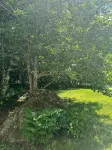 3-bedroom house in pleasant Ellsworth with AC, WiFi. Enjoy a cozy stay - 2つ星