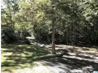Nature at it's Best