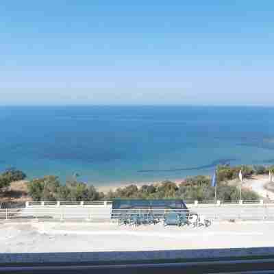 A terrace overlooking the sea 19084041C226886 Others
