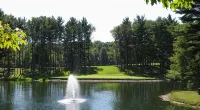The Pines of Apple Valley.  31 Beautiful Vacation Cabins. - 4-Star