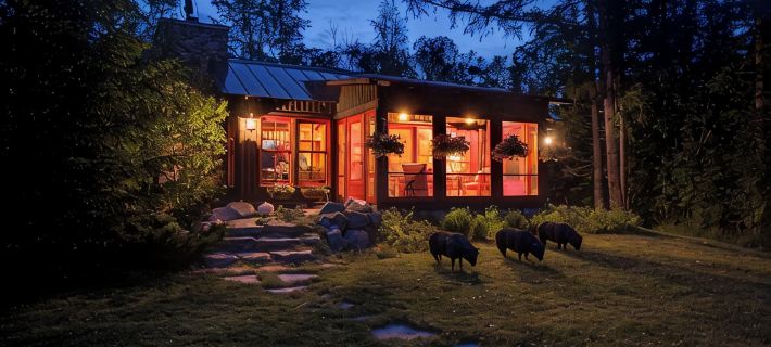 EXPERIENCE LAKESIDE LUXURY AT MAPLE CABIN: YOUR IDYLLIC RETREAT IN STAR LAKE, WI Hotels in Vilas County