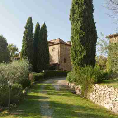 Restored farmhouse in heart of chianti with swimming pool and tennis court. Hotel Exterior