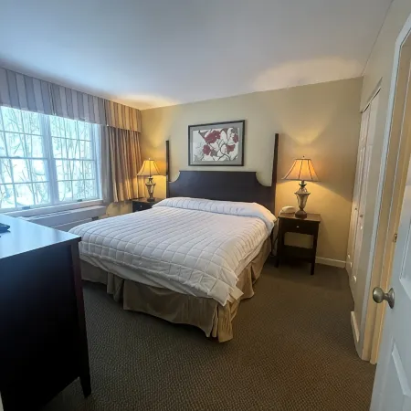Ski In & Ski Out - Deluxe 1 Bedroom Condo Sleeps 5