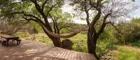 Peaceful family/group home with private attached treehouse - Homestays