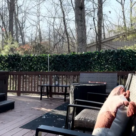Charming 4-bedroom home with Hot Tub and Pool Table in Massanutten Resort