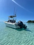 The Green Grouper, Oversized Beach Villa. - 3-Star