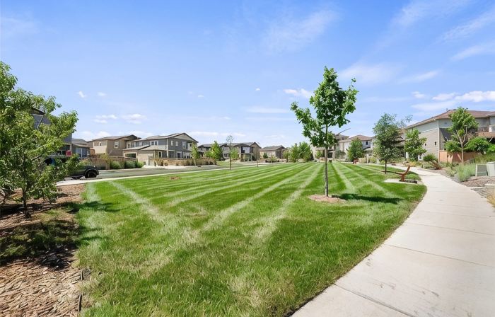 Spacious 5-bedroom house in charming Castle Rock with AC, WiFi, fitness area