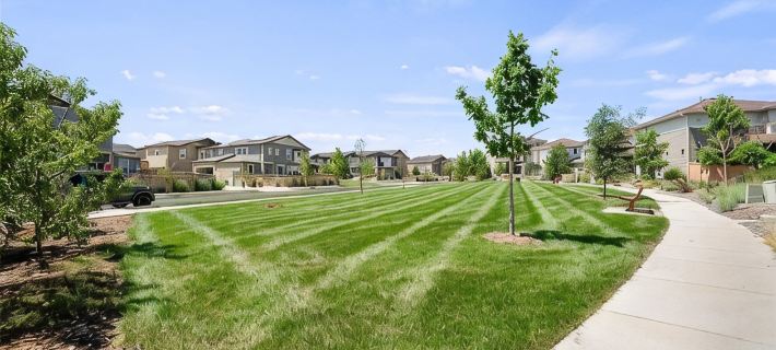 Spacious 5-bedroom house in charming Castle Rock with AC, WiFi, fitness area Ξενοδοχεία στην πόλη Douglas County
