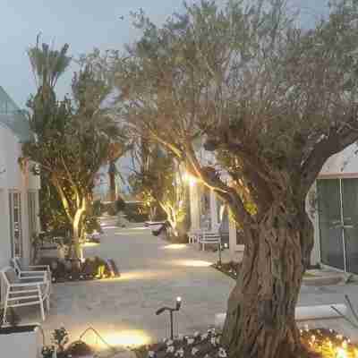 Milos Dead Sea Hotel Exterior