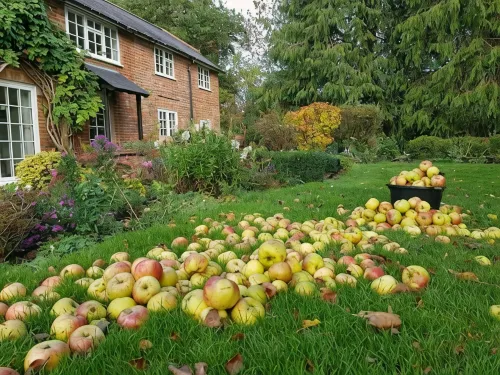 Orchard Barn Spa, exclusively for you, New Forest