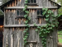 Cozy Tiny Cabin Retreat Hotels in Wayne County