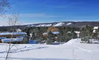 Cozy Getaway Near All the FUN! Harbor Springs/Petoskey - Wifi