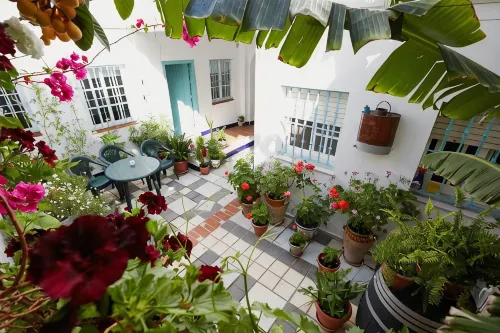 Hostal Campo Nuevo - Homestays