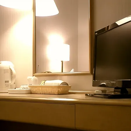 Ota Daiichi Hotel