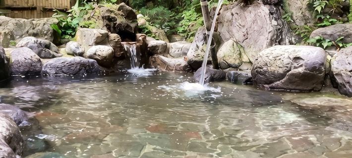 Nakaya Ryokan Hoteles en Atsugi