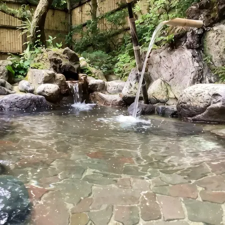 Nakaya Ryokan