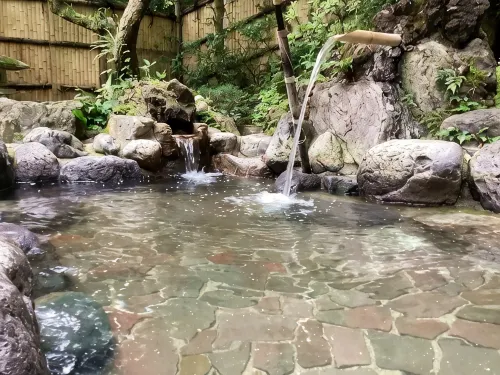中屋旅館 - 溫泉