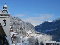 瑞士酒店 - 山景