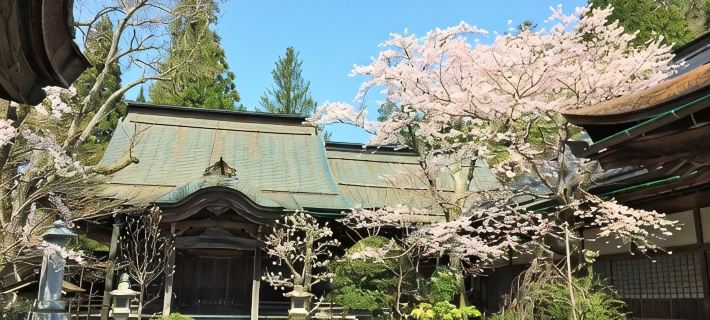 Henjoukoin Hotels in Koya