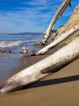 Soul & Sea #1 – East Beach Condo - Apartments