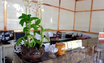3B Boutique Hotel
