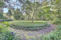 The Barn at Linwood - Tucked away in old downtown Summerville. A special getaway - 4-Star