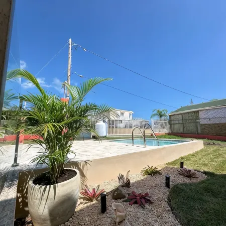 New pool and generator