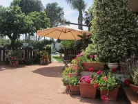 Sole e Sale B&B - piscina