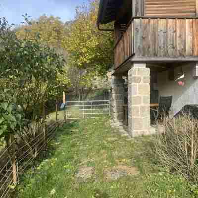 House on the vineyard below Rothenburg Hotel Exterior