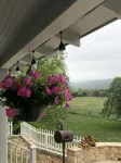 Cottage on the Frio River - 3-Star