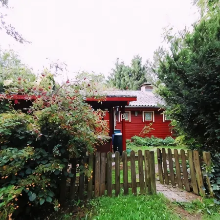 Very cozy Scandinavian log house in a quiet location on a large plot