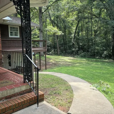 Hidden gem in the woods