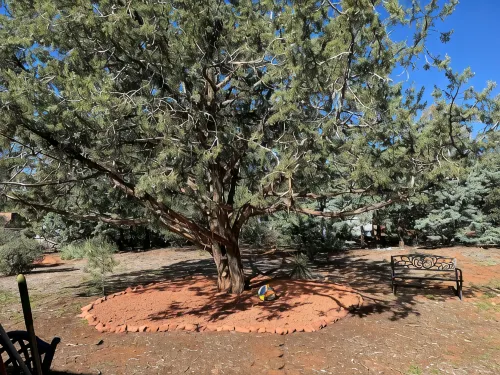 Sedona Hiker’s Retreat with hot tub - 욕조