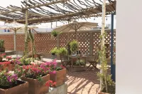 Casa Morelos by Barrio Mexico - صديق للحيوانات الاليفة