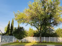Rolem Guest House - 3-Star