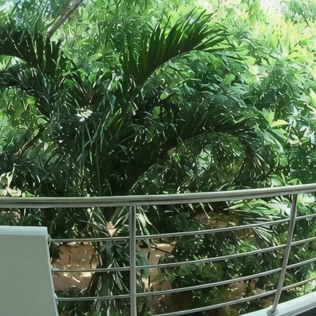Sea Zone Hotel Nilaveli