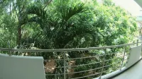 尼拉瓦利海洋地帶飯店 - 景觀